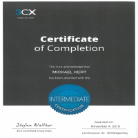 Certificat C3X Mickael KERT